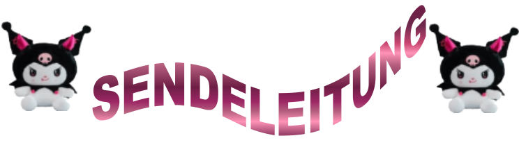 Sendeleitung